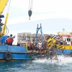 IMG-20251107-WA0047_11zon