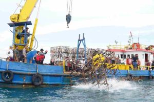 IMG-20251107-WA0047_11zon