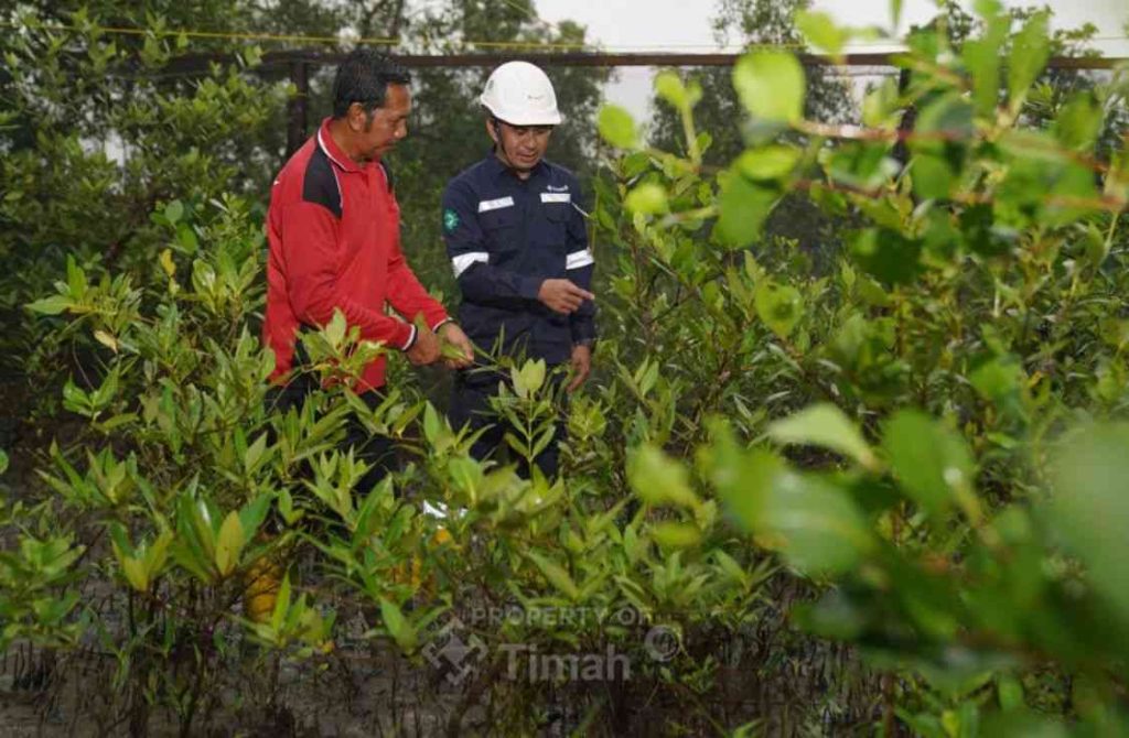 IMG-20260123-WA0000_11zon