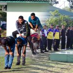 Proyek Baru (6)